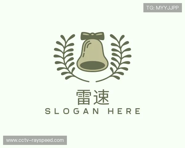 解读雷速小组