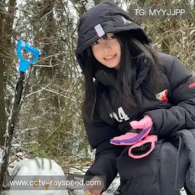 皮羽